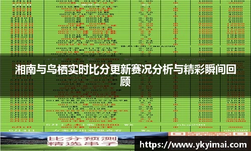湘南与鸟栖实时比分更新赛况分析与精彩瞬间回顾